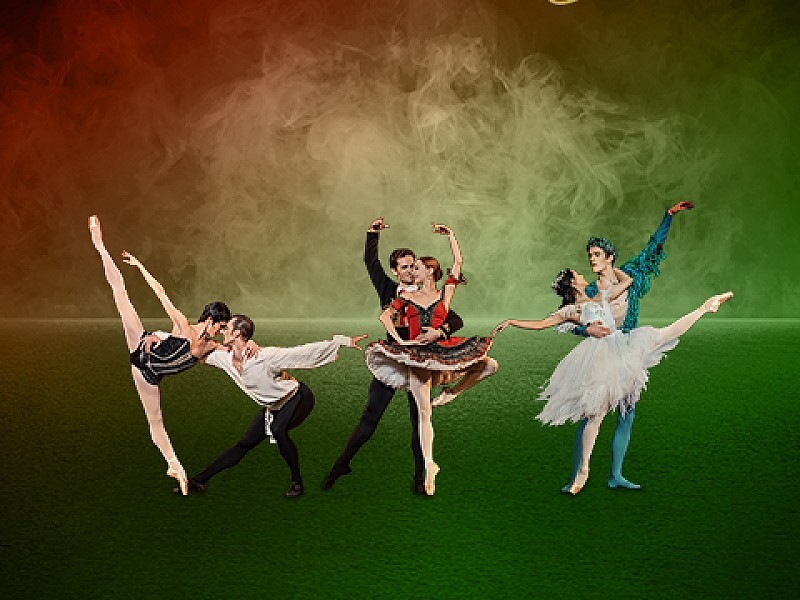 Ballet Icons Gala 2024