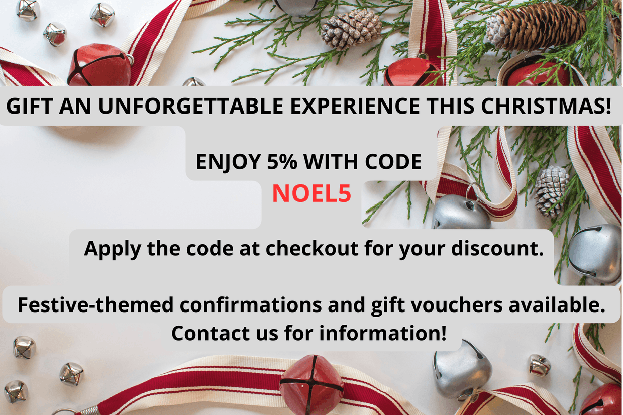 Celebrate the Festive Season with Us!